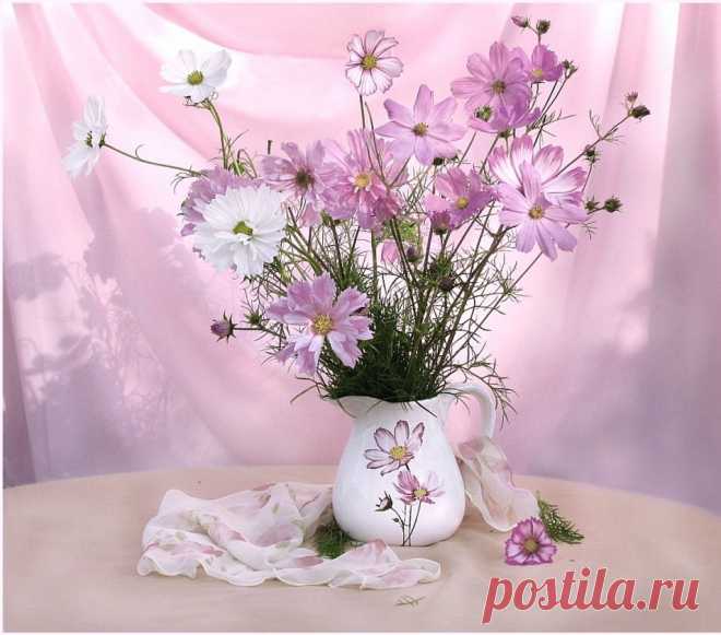 Vostorjennaya (Вика) — «Космеям нравится розовый цвет))» на Яндекс.Фотках