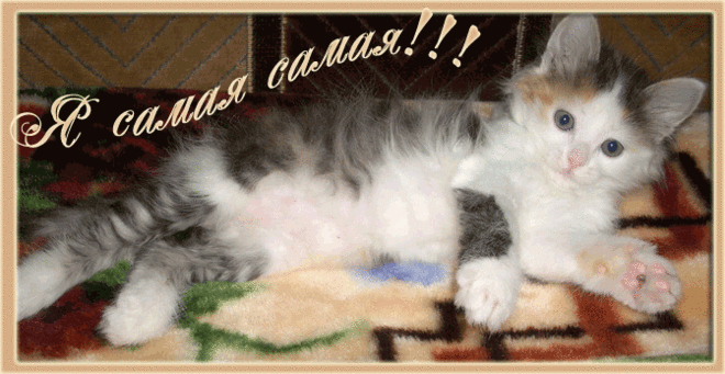 Смеяться разрешается 2))) | Давай поговорим