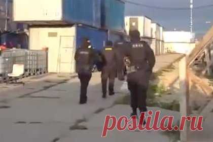 В Петербурге масштабный рейд по местам проживания мигрантов сняли на видео