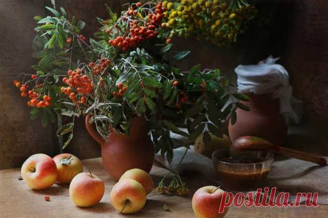 104520377_1469582.jpg (699×466)