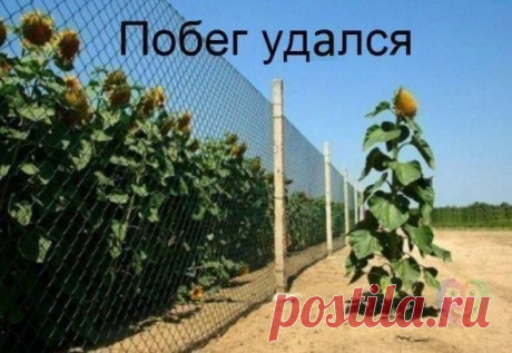 Мой Мир@Mail.Ru