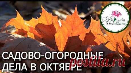 ЧТО НЕОБХОДИМО СДЕЛАТЬ В САДУ И ОГОРОДЕ В ОКТЯБРЕ | Садовый клуб. Вероника Поливкина | Дзен