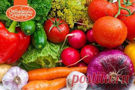 Как помочь дозреть овощам
КАК ПОМОЧЬ ДОЗРЕТЬ ОВОЩАМ
Вторая половина лета, а урожай в огороде еще не собирается поспевать.
Как помочь овощам дозреть? В этом вам поможет кандидат сельскохозяйственных наук А. Лебедева.
…