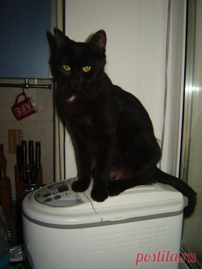 Пекись, хлебушек, пекись. Я терпеливая.