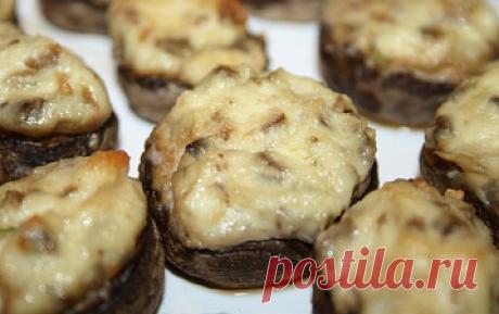 Передача «Будет вкусно!» — Миксер — Портал «Губерния»