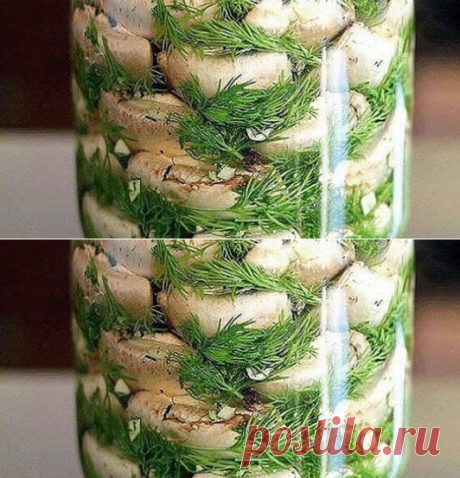 Малосольные шампиньоны на скорую руку — мировой рецептик!