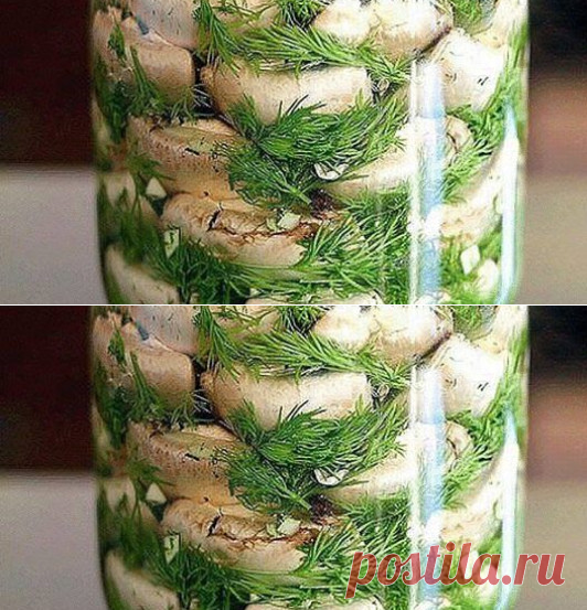 Малосольные шампиньоны на скорую руку — мировой рецептик!