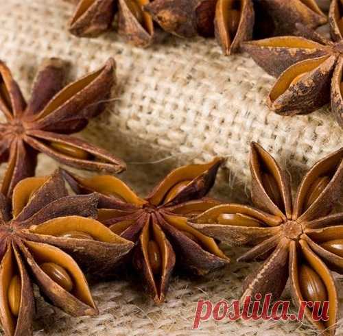 8 специй для стройной фигуры