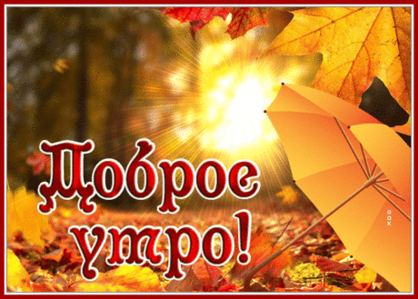 Супер открытка Доброе утро Осень