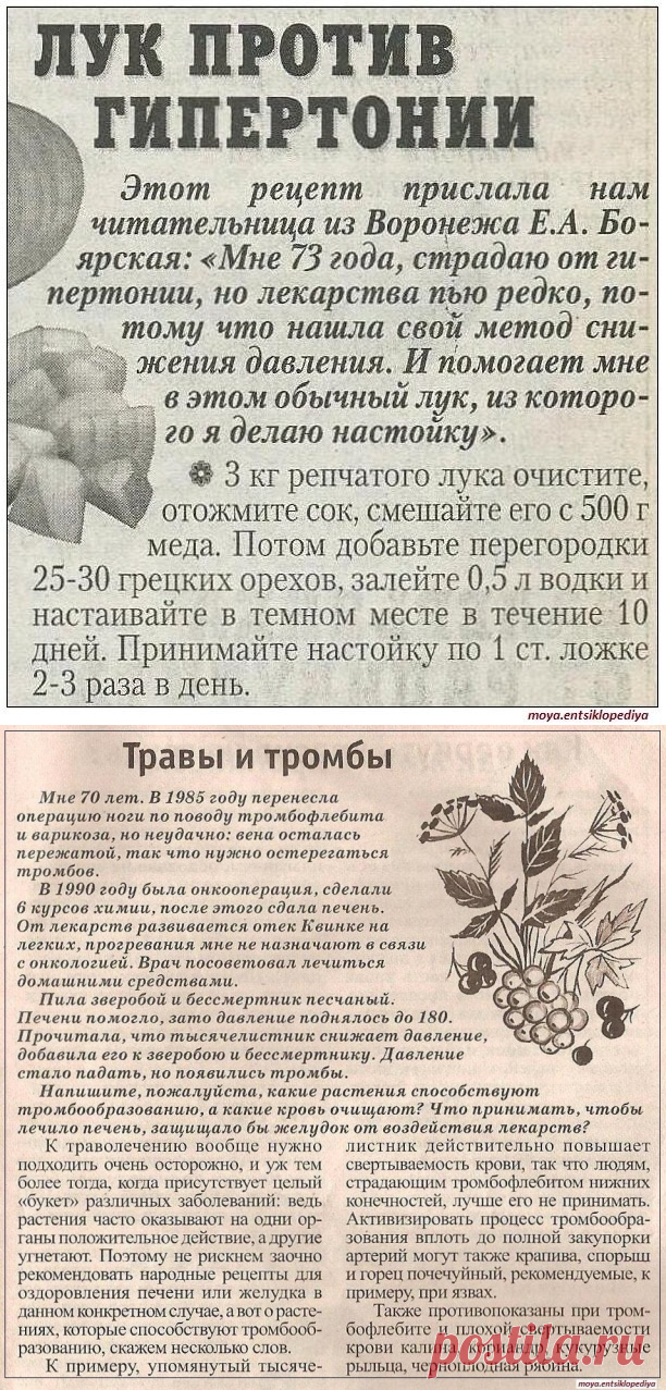 ЛУЧШЕЕ СРЕДСТВО ОТ ХОЛЕСТЕРИНА И ВЫСОКОГО ДАВЛЕНИЯ  и др.рецепты