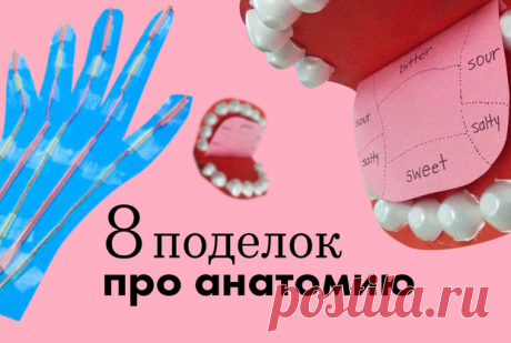 Анатомия человека в ватных палочках и шариках: 8 интересных поделок