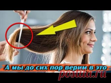 А мы до сих пор верим в ЭТИ МИФЫ об уходе за волосами которые вредят нашей шевелюре ИНТЕРЕСНЫЕ ФАКТЫ - YouTube