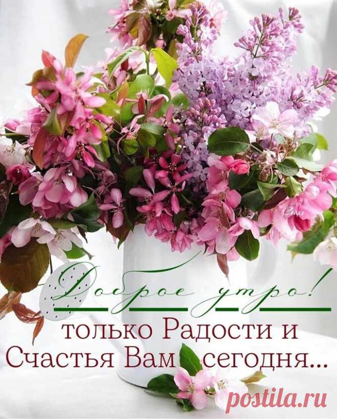 С солнышком и этот мир светлей! Ирина Расшивалова