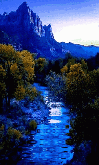 gif-animc3a9-plaisir-passion-268.gif (342×568)