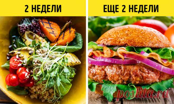 7 диет, которые сдвинут вес уже сегодня и приведут вас в форму за месяц
