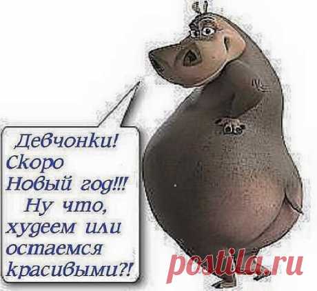 Юмор &gt;Улыбнитесь