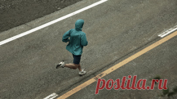 Доктор Москалёв рассказал о пользе даже умеренных физнагрузок. Директор Института биологии старения и медицины здорового долголетия с клиникой превентивной медицины РНЦХ им. академика Б.В. Петровского, доктор биологических наук, член-корреспондент РАН Алексей Москалёв рассказал, что регулярные и умеренные физические нагрузки полезны для здоровья. Читать далее