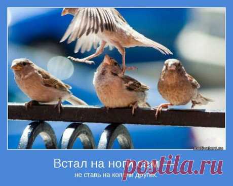 Новости