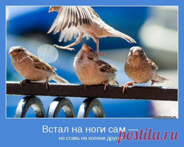 Новости