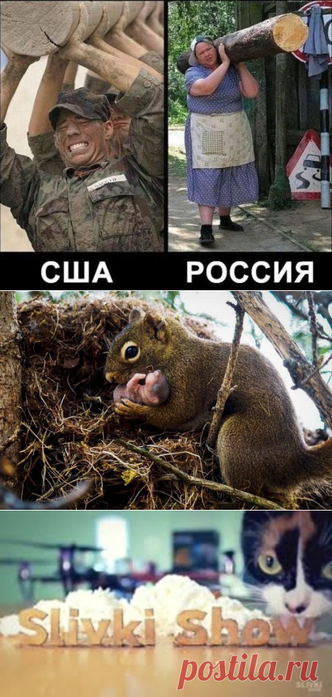 Одноклассники