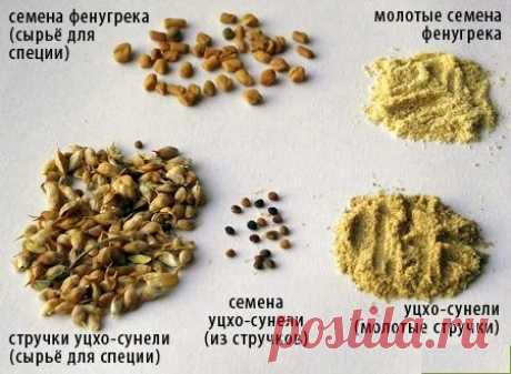 Голубой пажитник - уцхо-сунели. 