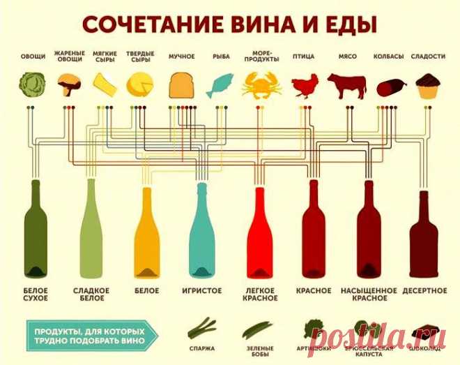 KАК ПРАВИЛЬНО ПОДОБРАТЬ ВИНО К ЕДЕ