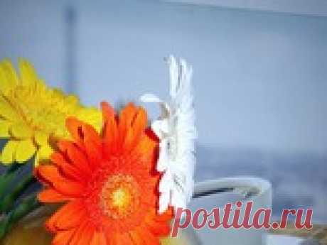 Как я делаю массаж с медом!: Группа Между нами, девочками