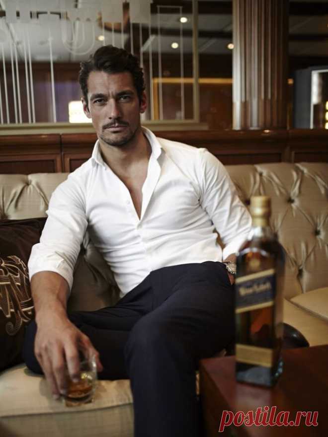 domus-iucunda:
“David Gandy
”