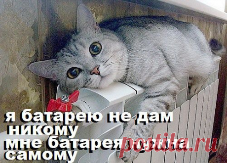 ᴼᴿᴵᴳᴵᴺᴬᴸ   SМАЙЛИКИ   (ړײ)
˙·•●๑ რ√რ√რ​​​ܓܨ