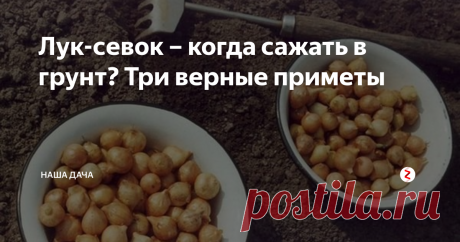 Лук-севок – когда сажать в грунт? Три верные приметы   На носу майские праздники, а это значит, что добрая половина горожан в эти выходные будет пропадать на дачах. Если погода позволяет, то уже можно посадить первые овощи – редиску, салатную зелень, лучок. Есть три главные приметы, по которым нужно ориентироваться – пришло время сажать лучок, или еще погодить