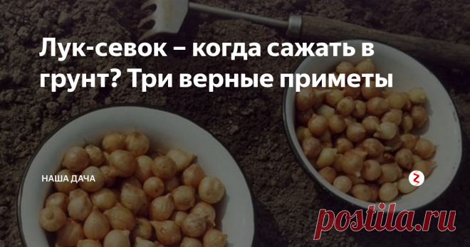 Лук-севок – когда сажать в грунт? Три верные приметы   На носу майские праздники, а это значит, что добрая половина горожан в эти выходные будет пропадать на дачах. Если погода позволяет, то уже можно посадить первые овощи – редиску, салатную зелень, лучок. Есть три главные приметы, по которым нужно ориентироваться – пришло время сажать лучок, или еще погодить
