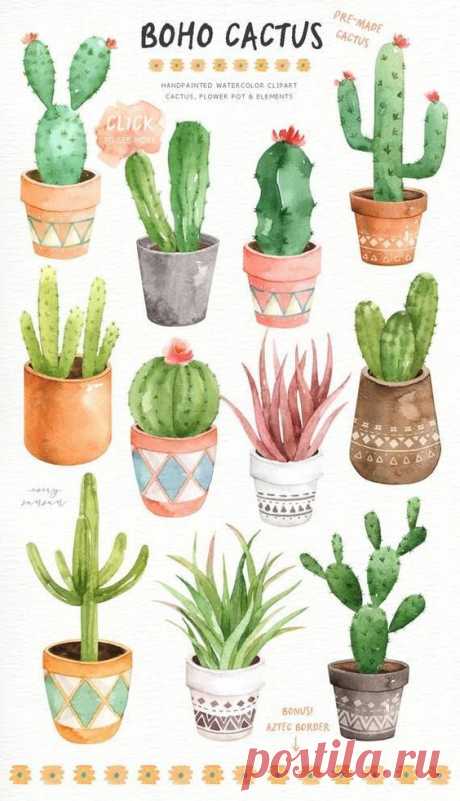 $8.90 · The set of high quality hand painted watercolor cactus and elements images. The flower pots are included in this set. Included 11 beautiful pre-made cactus with flowerpot images. Perfect for wedding…