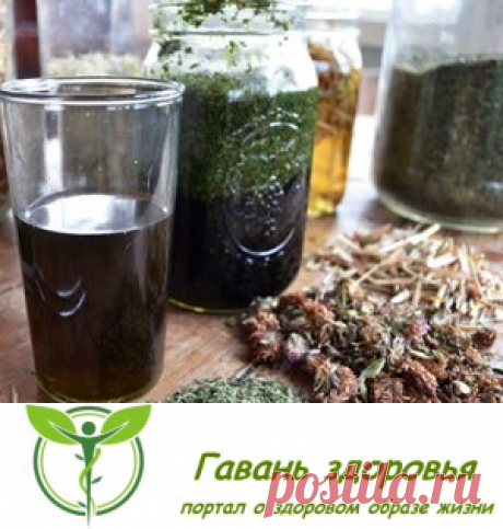 Целебный настой "Пять трав" | Гавань здоровья