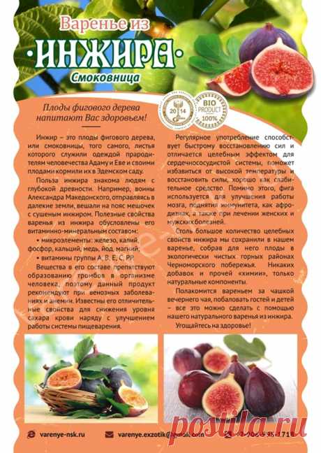 О пользе инжира