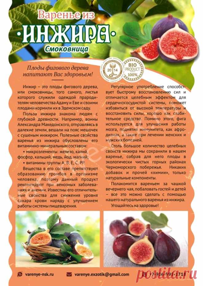 О пользе инжира