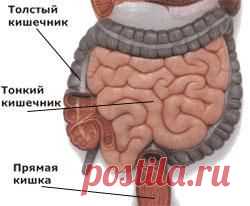 Народная медицина, народные средства, рецепты |