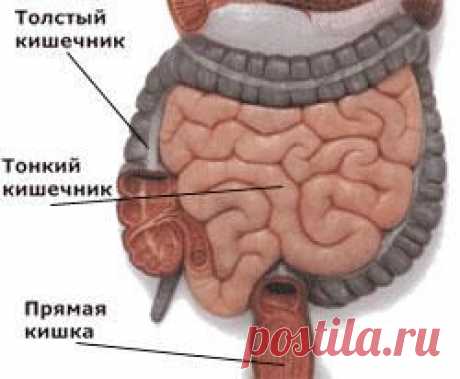 Народная медицина, народные средства, рецепты |
