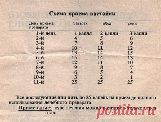 (16) Одноклассники