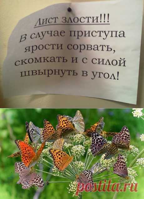 Стресс — синоним страха - mad1959 — я.ру
