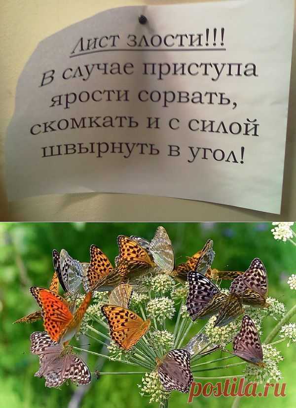 Стресс — синоним страха - mad1959 — я.ру