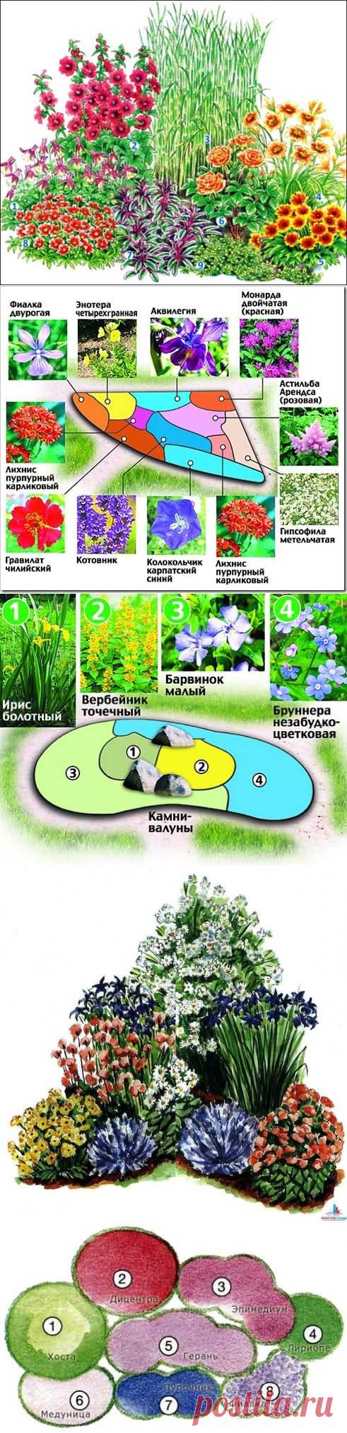 Красивые клумбы из многолетних цветов .