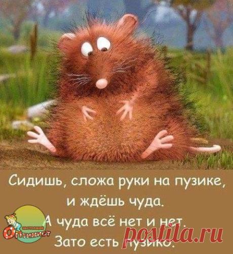 Настоящий Оптимист