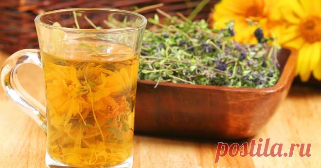 Сенсация! Эликсир Молодости Древних Знахарей