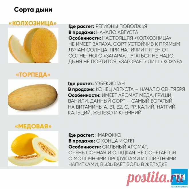 Спелая и сочная: как выбрать дыню Миллион советов на все случаи жизни!