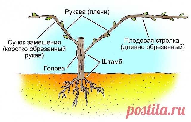 Одноклассники