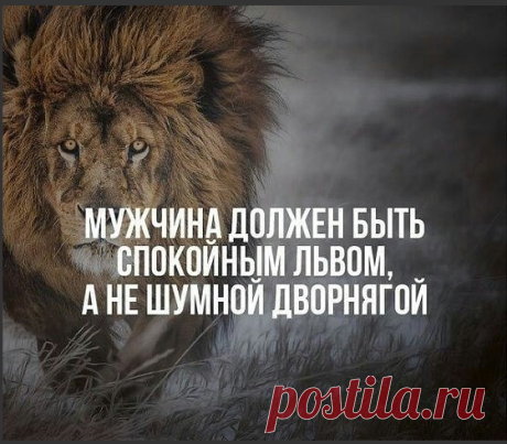Дмитрий Сафонов