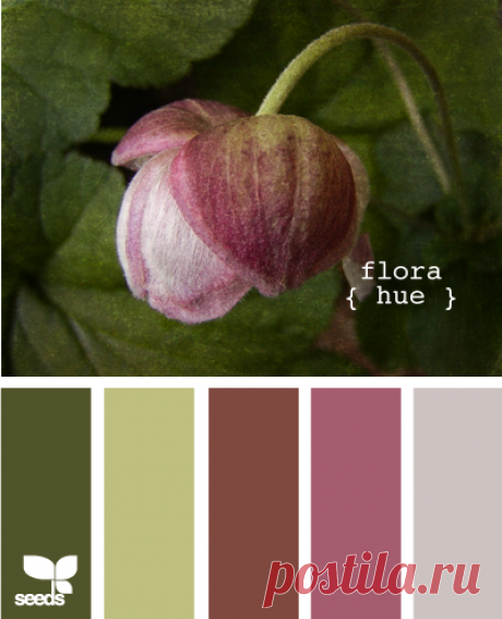 Цветы, деревья — источник вдохновения! | BepHuK собирает друзей