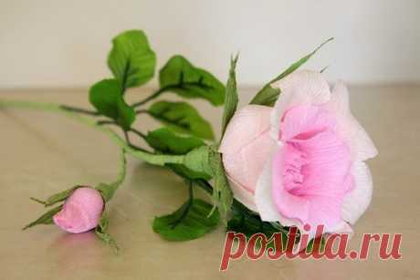 Роза из гофробумаги