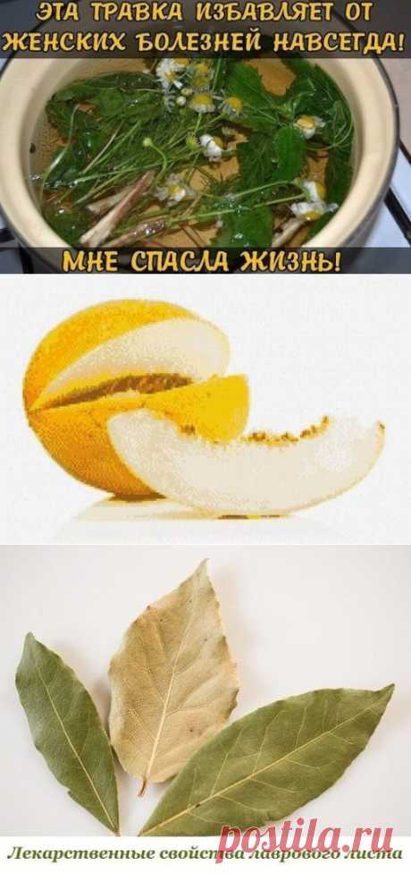 Часы работа нашего организма