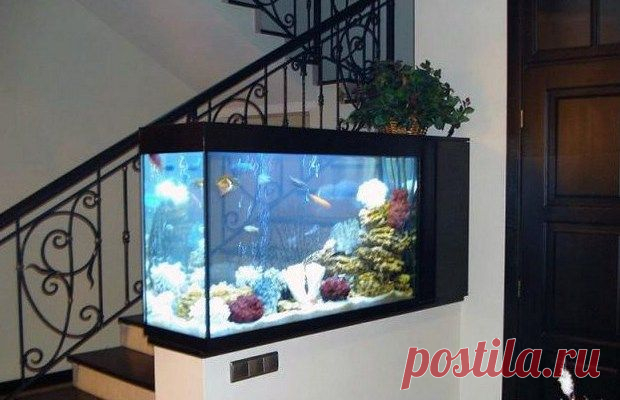Феншуй в квартире, как спасение от невзгод